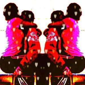 Meet your Posher, Terry